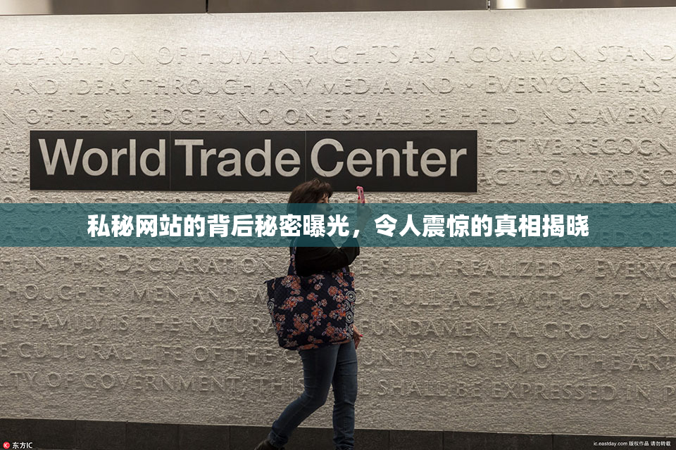 私秘网站的背后秘密曝光，令人震惊的真相揭晓