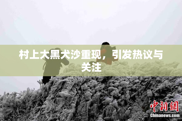 村上大黑犬沙重现，引发热议与关注