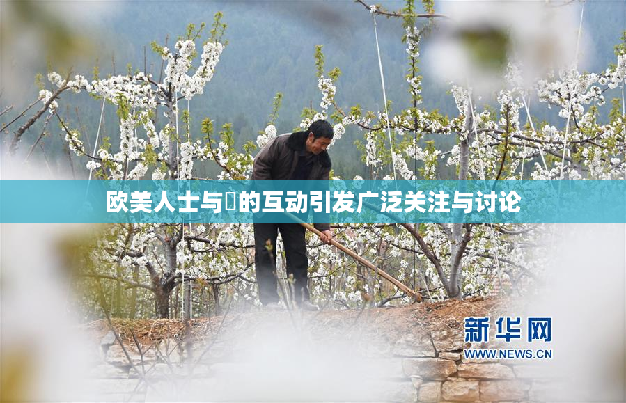 欧美人士与嘼的互动引发广泛关注与讨论