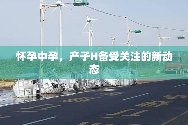 怀孕中孕，产子H备受关注的新动态