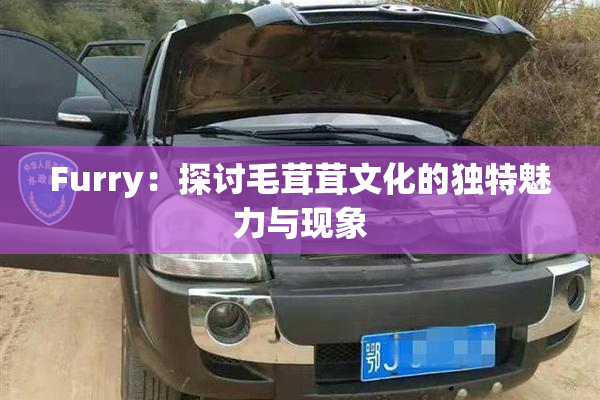 Furry：探讨毛茸茸文化的独特魅力与现象