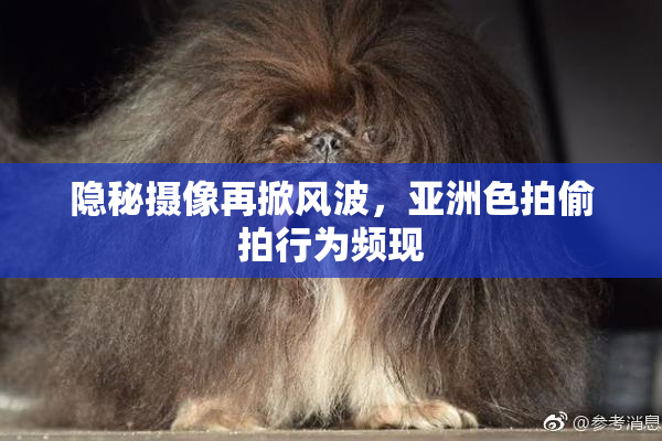 隐秘摄像再掀风波，亚洲色拍偷拍行为频现