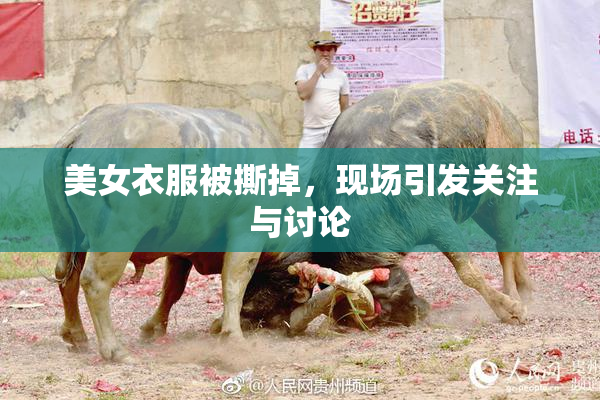 美女衣服被撕掉，现场引发关注与讨论