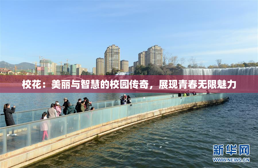 校花：美丽与智慧的校园传奇，展现青春无限魅力