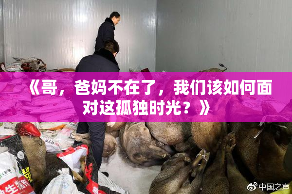 《哥，爸妈不在了，我们该如何面对这孤独时光？》