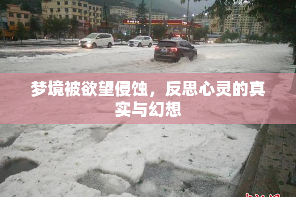 梦境被欲望侵蚀，反思心灵的真实与幻想