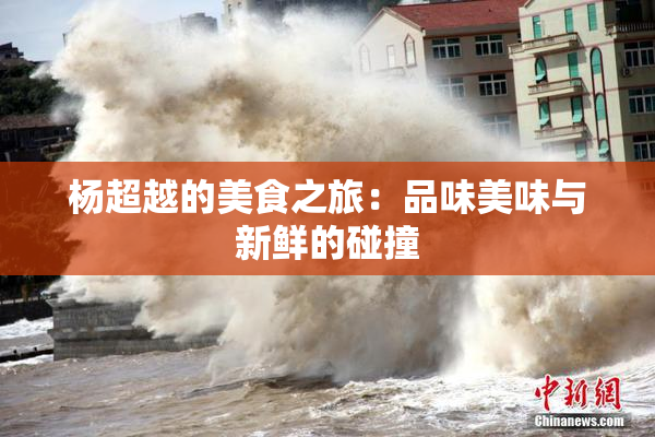 杨超越的美食之旅：品味美味与新鲜的碰撞
