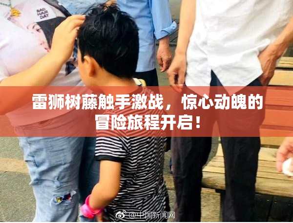 雷狮树藤触手激战，惊心动魄的冒险旅程开启！