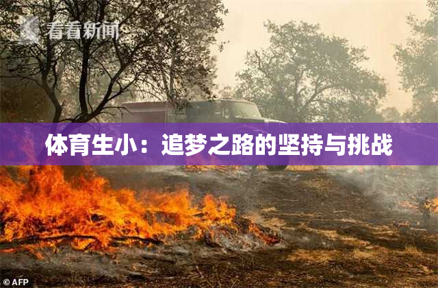 体育生小：追梦之路的坚持与挑战