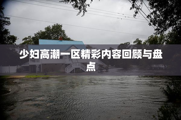 少妇高潮一区精彩内容回顾与盘点