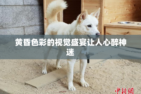 黄昏色彩的视觉盛宴让人心醉神迷