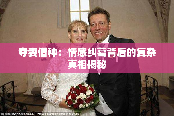 夺妻借种：情感纠葛背后的复杂真相揭秘