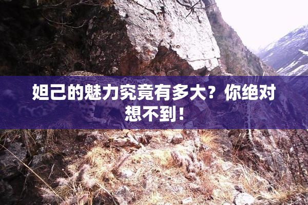 妲己的魅力究竟有多大？你绝对想不到！
