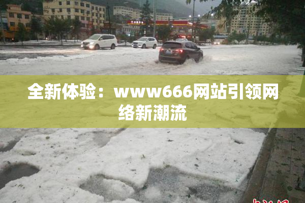 全新体验：www666网站引领网络新潮流
