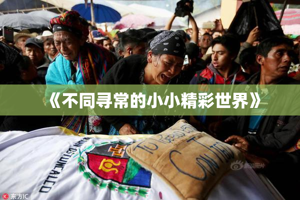 《不同寻常的小小精彩世界》