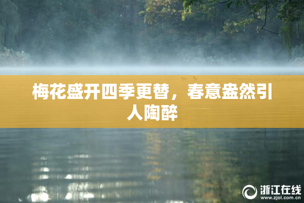 梅花盛开四季更替，春意盎然引人陶醉