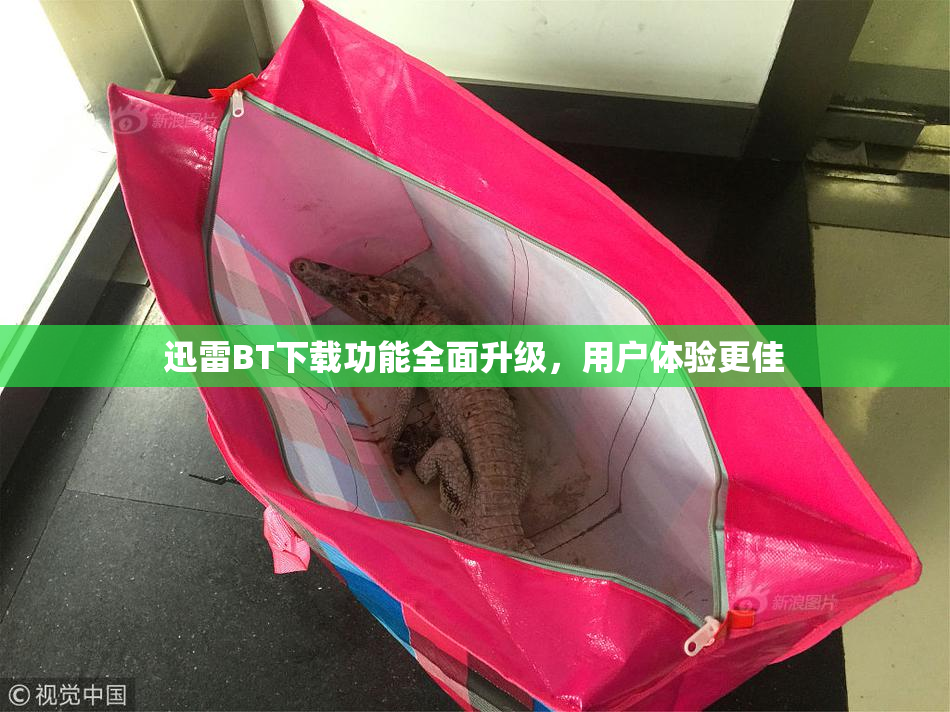 迅雷BT下载功能全面升级，用户体验更佳