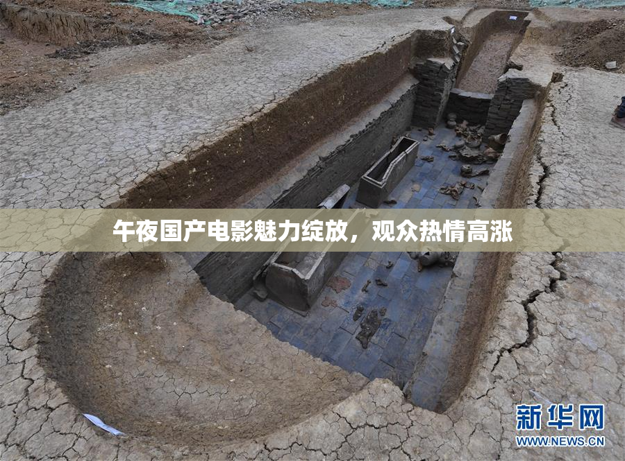 午夜国产电影魅力绽放，观众热情高涨