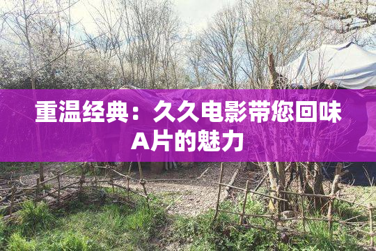 重温经典：久久电影带您回味A片的魅力