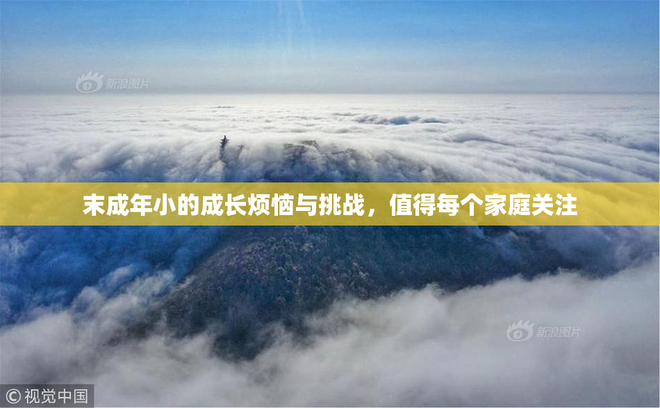 末成年小的成长烦恼与挑战，值得每个家庭关注