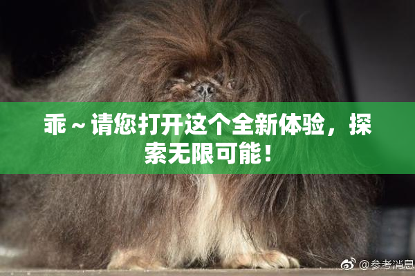 乖～请您打开这个全新体验，探索无限可能！