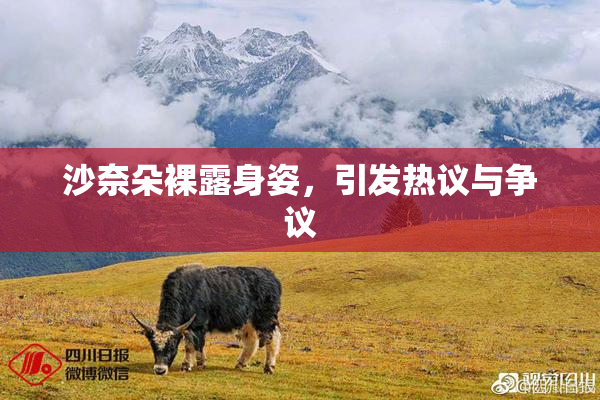 沙奈朵裸露身姿，引发热议与争议