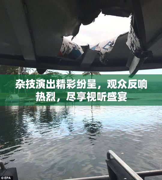 杂技演出精彩纷呈，观众反响热烈，尽享视听盛宴