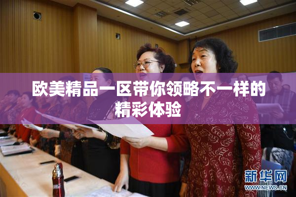 欧美精品一区带你领略不一样的精彩体验