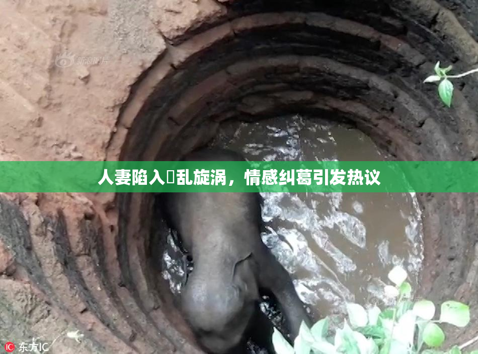 人妻陷入婬乱旋涡，情感纠葛引发热议