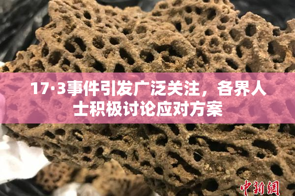 17·3事件引发广泛关注，各界人士积极讨论应对方案