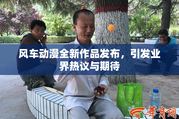 风车动漫全新作品发布，引发业界热议与期待