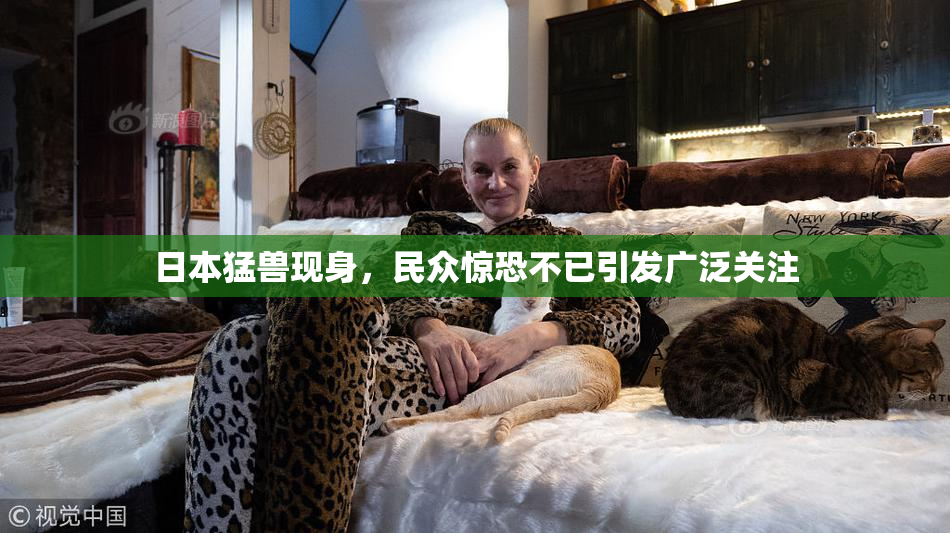 日本猛兽现身，民众惊恐不已引发广泛关注