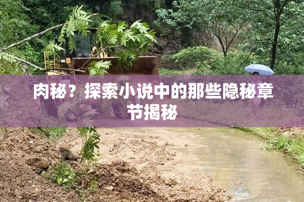 肉秘？探索小说中的那些隐秘章节揭秘