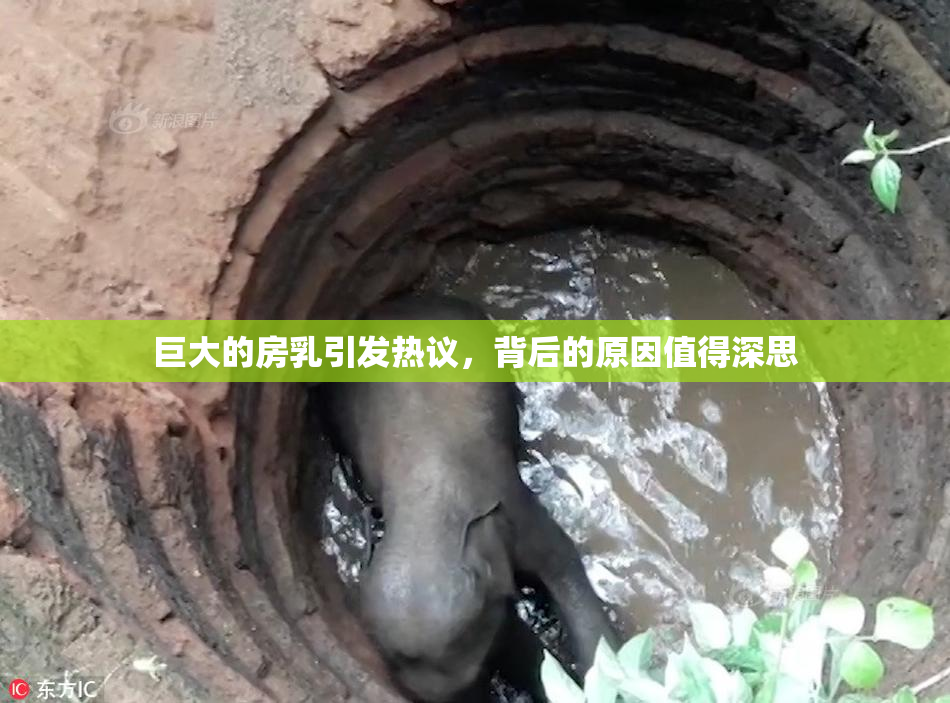 巨大的房乳引发热议，背后的原因值得深思