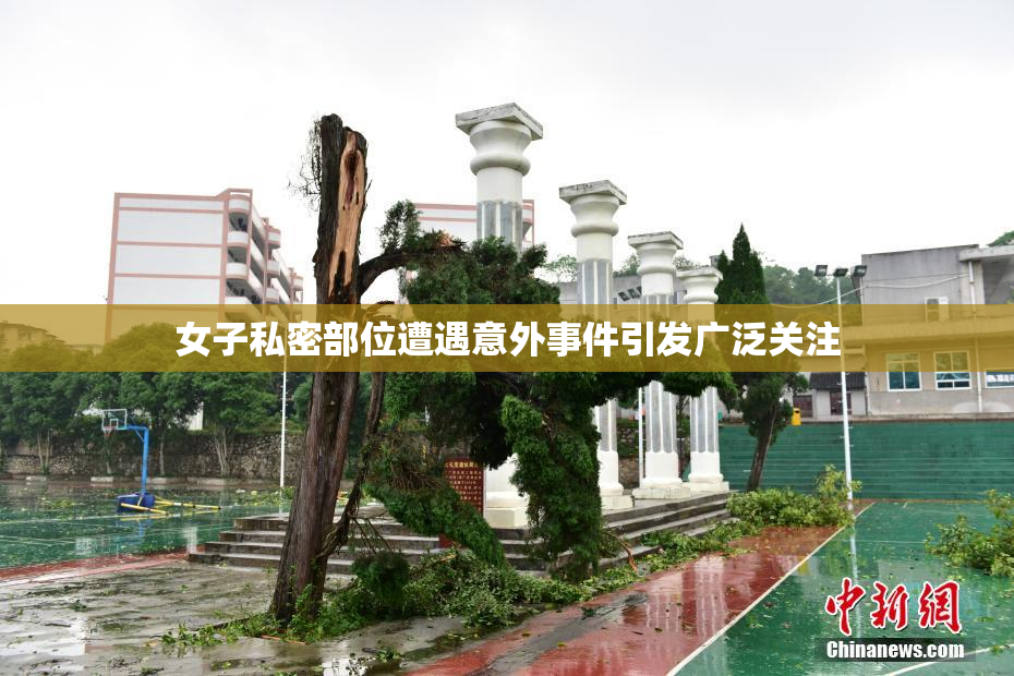 女子私密部位遭遇意外事件引发广泛关注