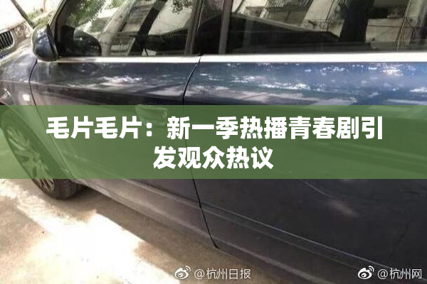 毛片毛片：新一季热播青春剧引发观众热议