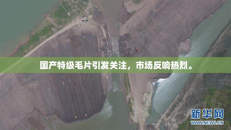 国产特级毛片引发关注，市场反响热烈。