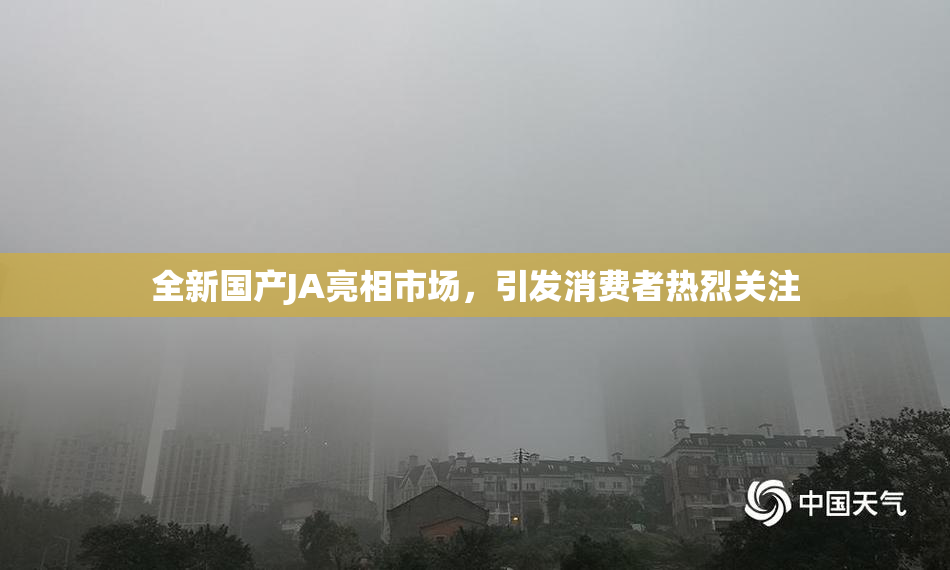 全新国产JA亮相市场，引发消费者热烈关注