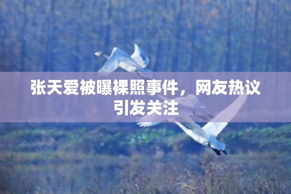 张天爱被曝裸照事件，网友热议引发关注