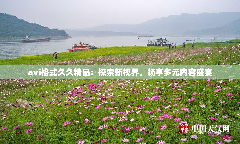 avi格式久久精品：探索新视界，畅享多元内容盛宴