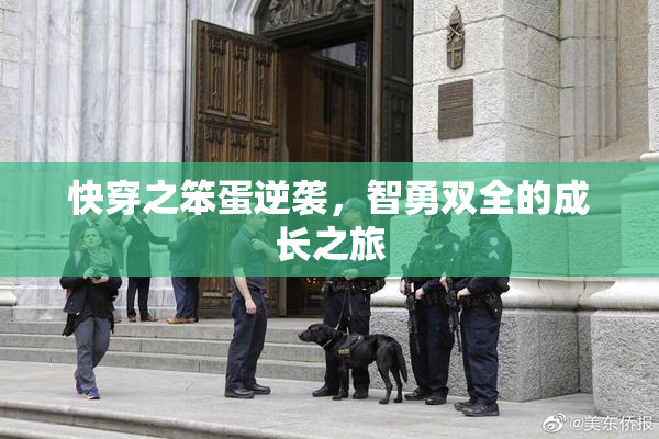 快穿之笨蛋逆袭，智勇双全的成长之旅