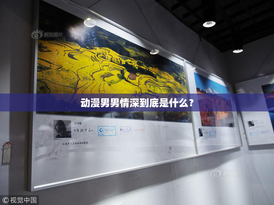 动漫男男情深到底是什么？
