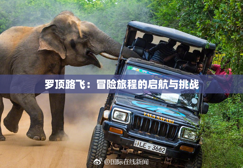 罗顶路飞：冒险旅程的启航与挑战