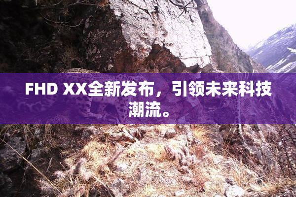 FHD XX全新发布，引领未来科技潮流。