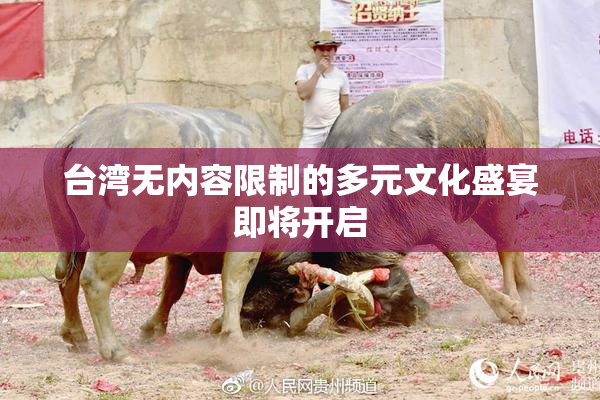 台湾无内容限制的多元文化盛宴即将开启