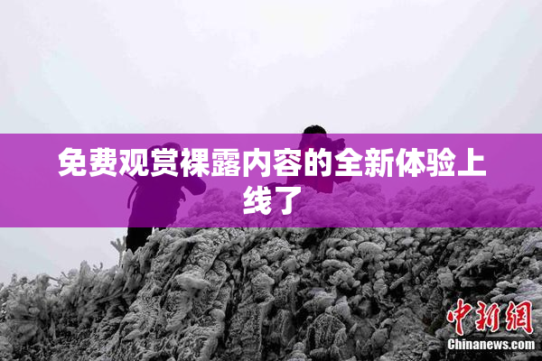 免费观赏裸露内容的全新体验上线了