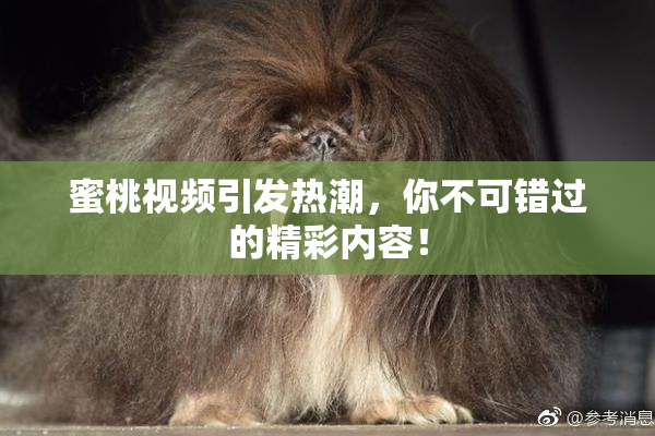 蜜桃视频引发热潮，你不可错过的精彩内容！