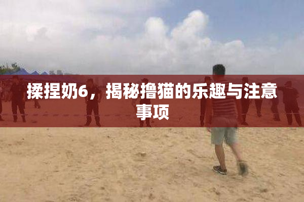 揉捏奶6，揭秘撸猫的乐趣与注意事项