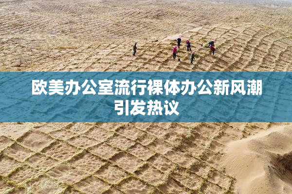 欧美办公室流行裸体办公新风潮引发热议