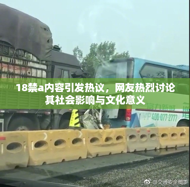 18禁a内容引发热议，网友热烈讨论其社会影响与文化意义